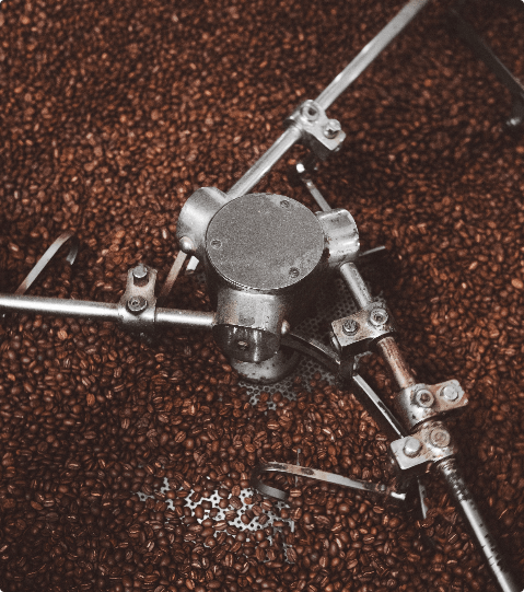 Grain de café torréfié dans une machine de torréfaction à Café Côme, torréfacteur à Grenoble.